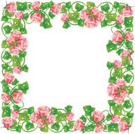 Illustrated rose fame