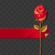 Vector Valentines illustration with Red rose and ribbon