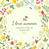Floral background with flowers and herbs N6