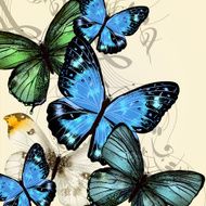 Music background with detailed vector butterflies N2