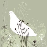 Background with white dove