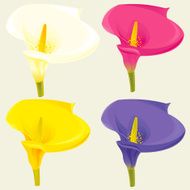 Set of Spring Flowers (Calla Lily) N3