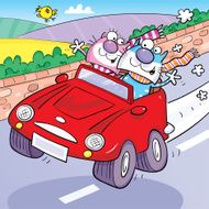 Cats in car