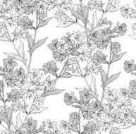 Vector seamless floral pattern with hand drawn flowers N2