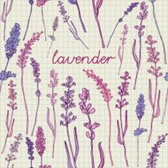 seamless background with lavender N3