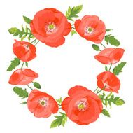 Poppies wreath