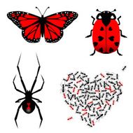 Set of lovebugs