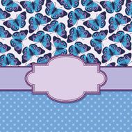 vector vintage frame with butterflies N11