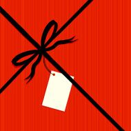 Gift wrapped Christmas Birthday wedding present illustration