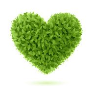 Heart symbol in green leaves N3