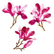 Set of red watercolor magnolia flowers N2