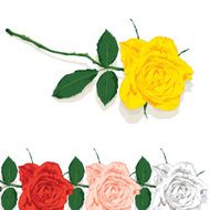 Single Rose N4