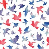 Birds N55
