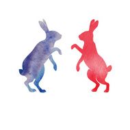Rabbits N16