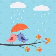Birds kiss under umbrella