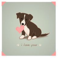 Flat Coated Border Collie Puppy