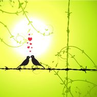 Love birds kissing on branch