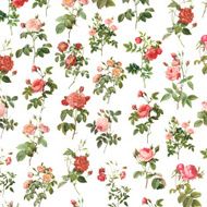 Wallpaper with roses N7