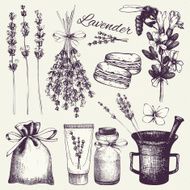 Vintage collection of lilac lavender flowers sketch N3