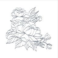 Hand drawn branch of roses