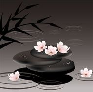vector zen stones and cherry flowers