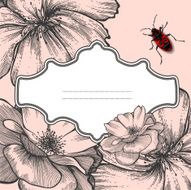 Vintage frame with blooming roses and beetle Vector illustration