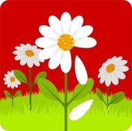 Daisy love flower illustration vector