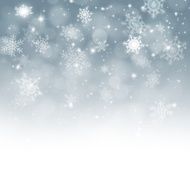 Snow Fall