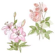Flowers N342