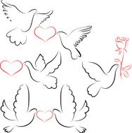 Dove With Heart N3