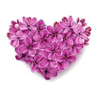 Heart from flowers of a lilac N5