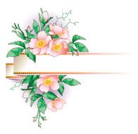 Flowering wild rose