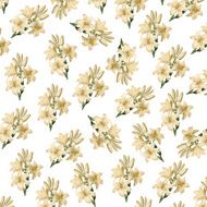 High Resolution Wallpaper with White Flowers