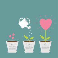 Heart seed watering can love plant Growth Flat design infographic N2