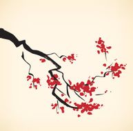 Cherry tree branch