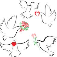 Dove&amp;love