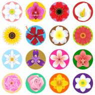 Flower Collection Set