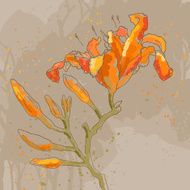 Romantic vector background with lily