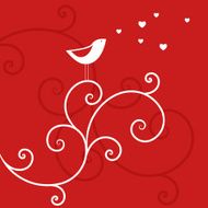 Love Bird N17