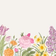 Summer floral vintage vector background N4