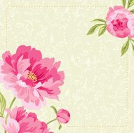 Peonies N13