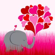 Big Love N4