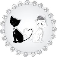Cats - groom and bride