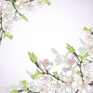 Cherry branch in blossom Seasonal background N7