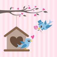 Birds couple in love N17