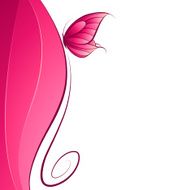butterfly N89