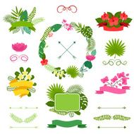 Set of tropical plants wreath ribbons and labels