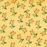 High Resolution Wallpaper with Flowers N2