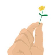 Buttercup