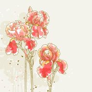 Background with three red iris flowers